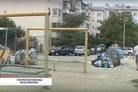 Во дворе пятиэтажки на ул. Шевченко все лето гниют мусорные контейнеры