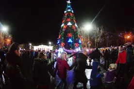 В Севастополе разработают график подачи света в новогоднюю ночь