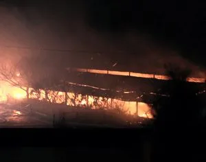 На пляже Учкуевка ночью сгорел диско-бар «Шок»