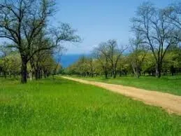 Парк Учкуевка в Севастополе может получить статус особо охраняемой природной территории