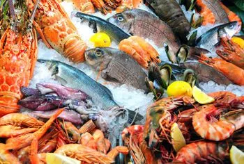 «На нас раньше не обращали внимания»: севастопольские рыбопромышленники просят создать рыбный рынок