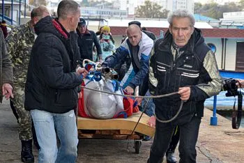 Нет денег? Севастопольский дельфинарий продал белуху Василису за 2 миллиона