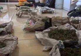 Севастополец прятал больше двух килограммов марихуаны в трехлитровых банках