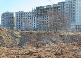 Краснокнижную фисташковую рощу в Севастополе хотят застроить высотками