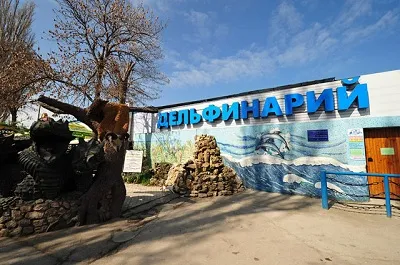 Севастопольский дельфинарий разрывается частниками