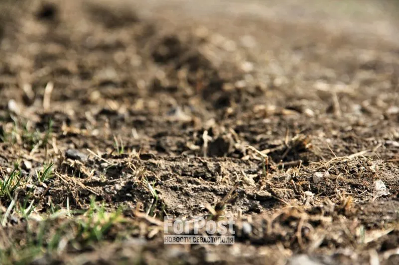 В Севастополе проведут инвентаризацию земель сельхозназначения