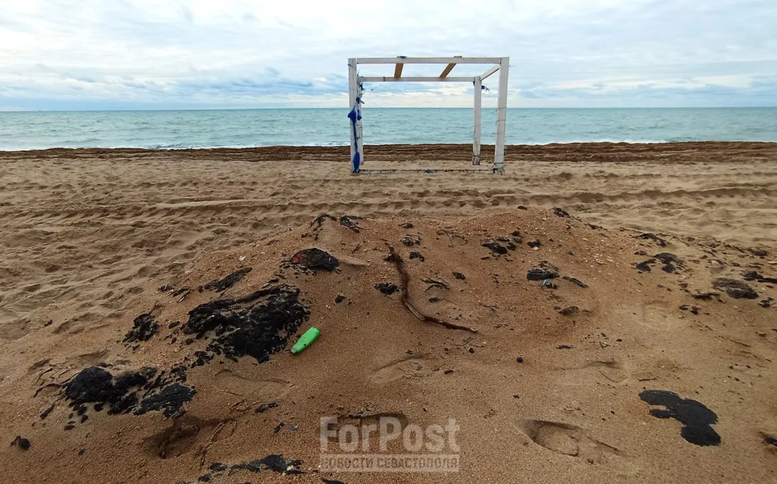 Как отреагировали на последствия разлива мазута думские депутаты и сенаторы от Севастополя