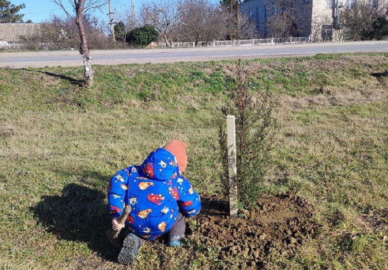 крым черноморское деревья высадка акция экология природа благоустройство ребёнок