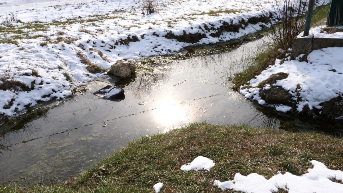 земля, ИЖС, закон 