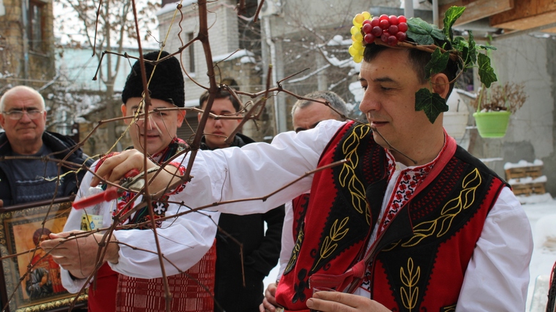 крым культура фестиваль урожай продукты виноград