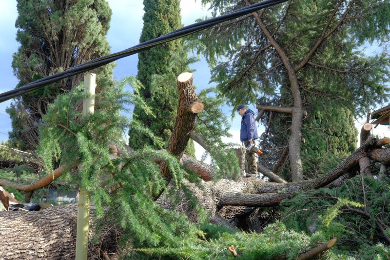 крым ялта кедр деревья шторм газопровод обрушение