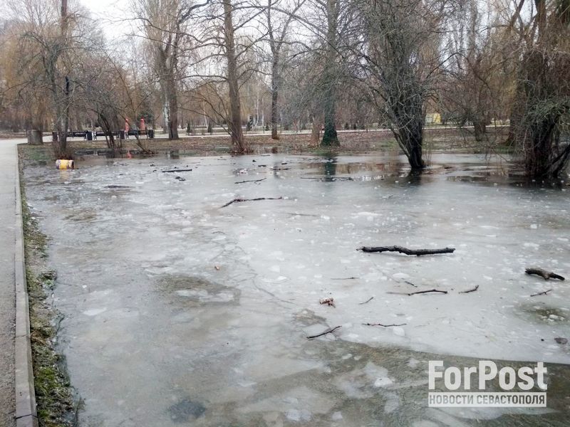 крым симферополь Гагаринский парк разлив болото деревья угрозы
