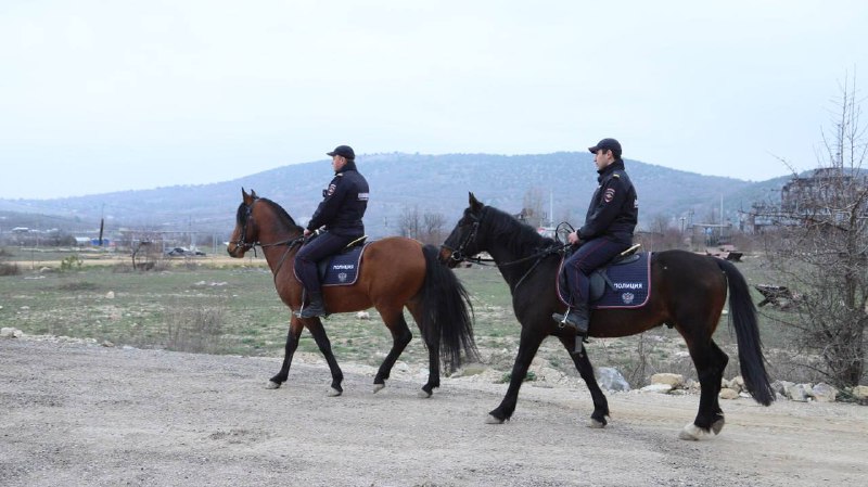кони полиция севастополя умвд новости крым патруль конница ковалерия 