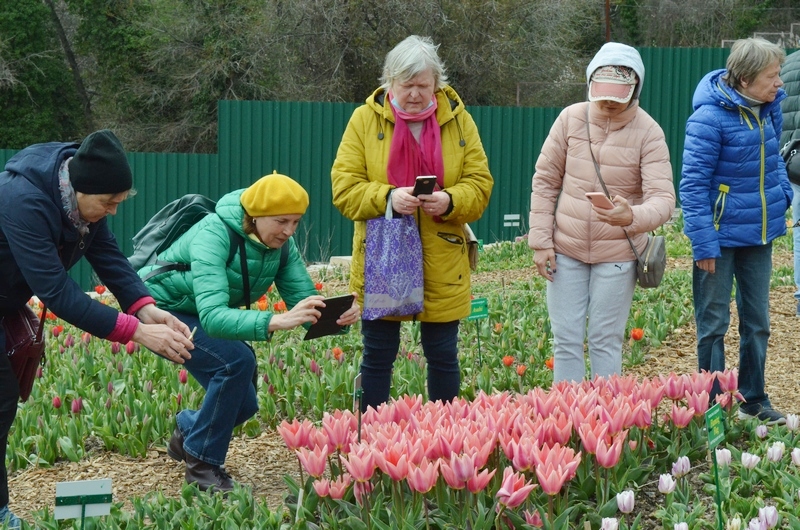 крым ялта никита сад тюльпаны парад посетители фотосесия