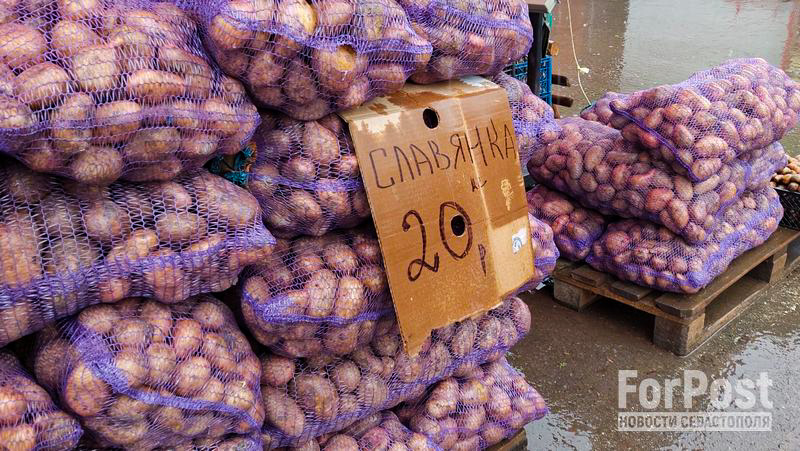 крым симферополь рынок товары продукция торговля картофель мешки овощи херсонская область