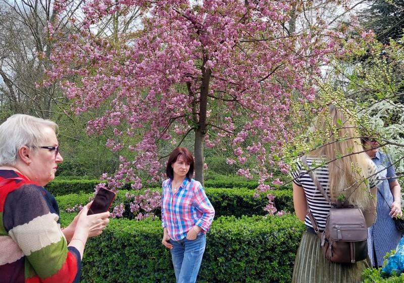 крым симферополь ботанический сад университет сакура цветение декоративный персик лабиринт