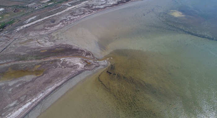 крым море сброс сток вода каркинитский залив загрязнение