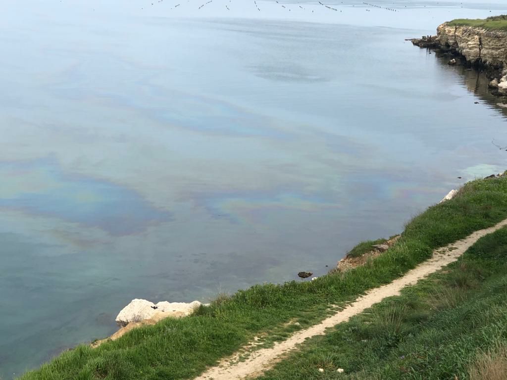 севастополь экология море пятно карантинная бухта херсонес разлив