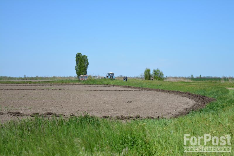 крым сельское хозяйство сев риса аграрии рисоводство поле