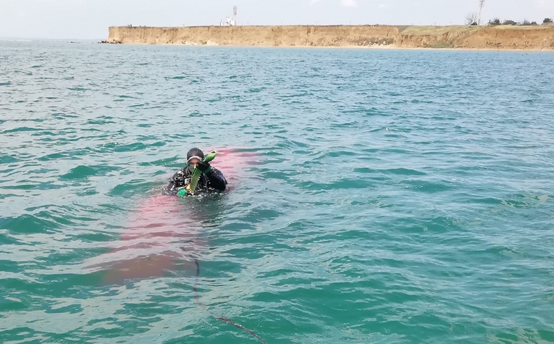 крым самолет керченский пролив война вов память история водолаз