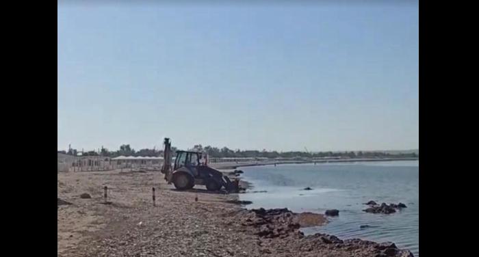 крым море пляж трактор уборка водоросли