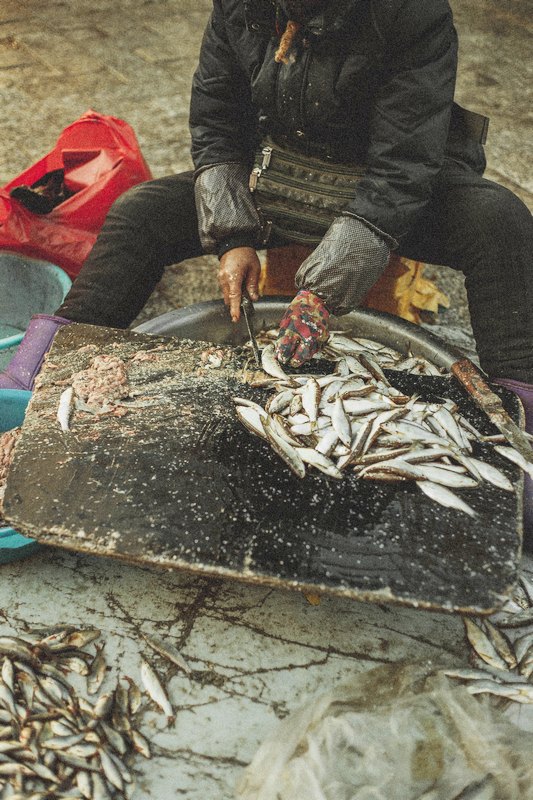крым рыболовство азовское море трудности бюрократия