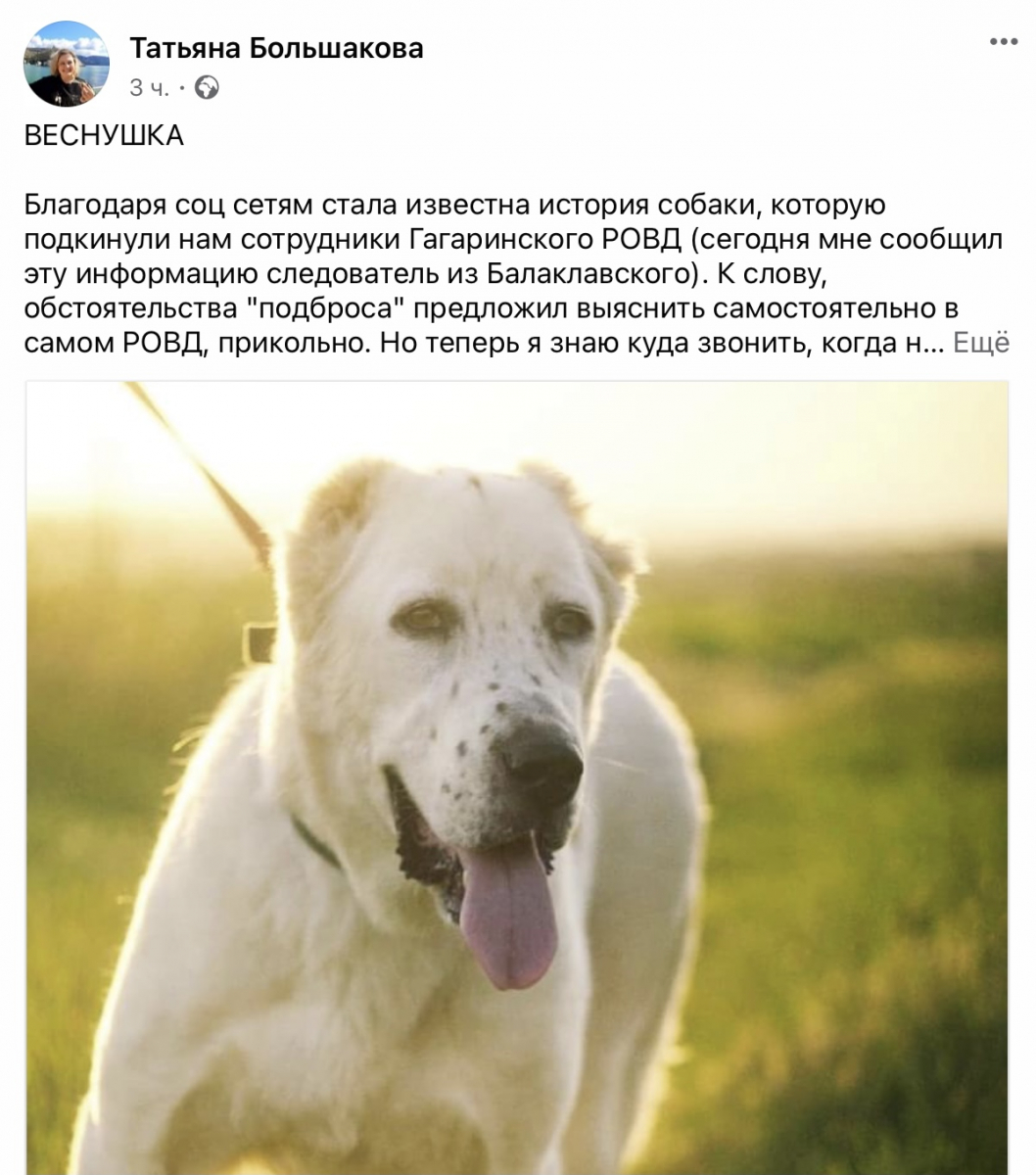 севсети севастополь соцсети новости форпост