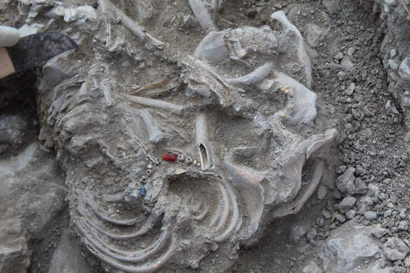 крым судак археологическая научная экспедиция раскопки скелет подросток некрополь артефакт бусы браслет