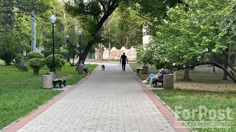 крым парк выгул собака площадка для собак зона для выгула благоустройство