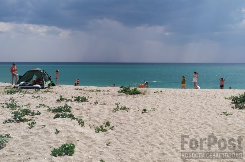 крым черноморский район пляжи песок дюны ООПТ 
