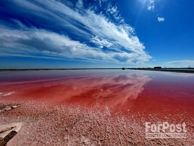 крым саки озеро розовая соль
