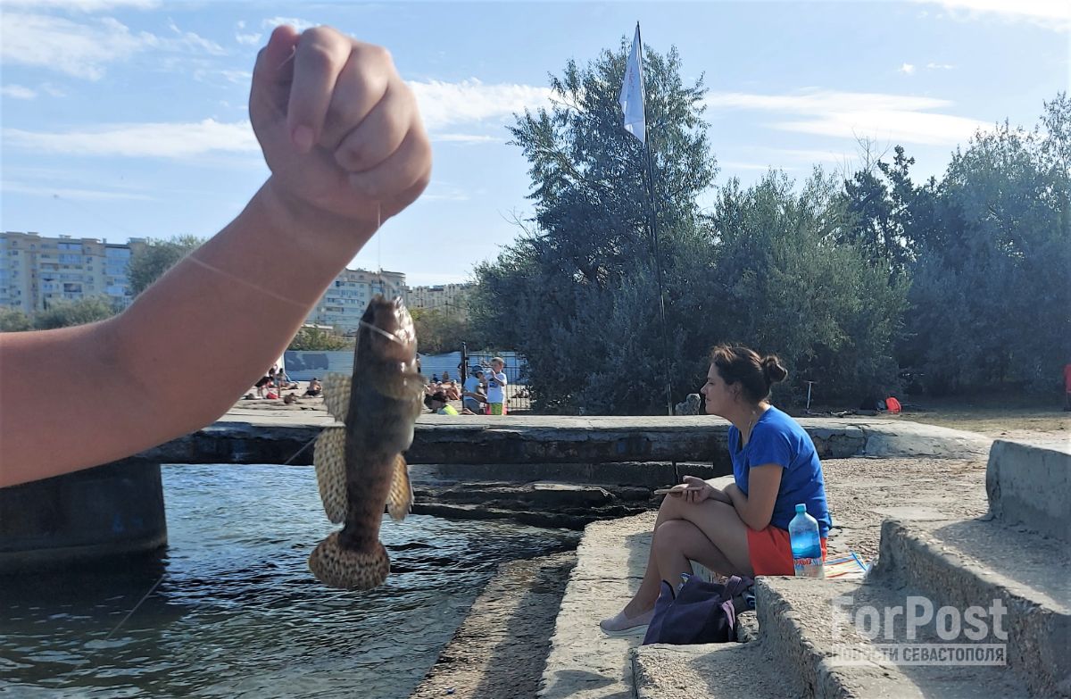 севастополь ребенок рыбалка рыба