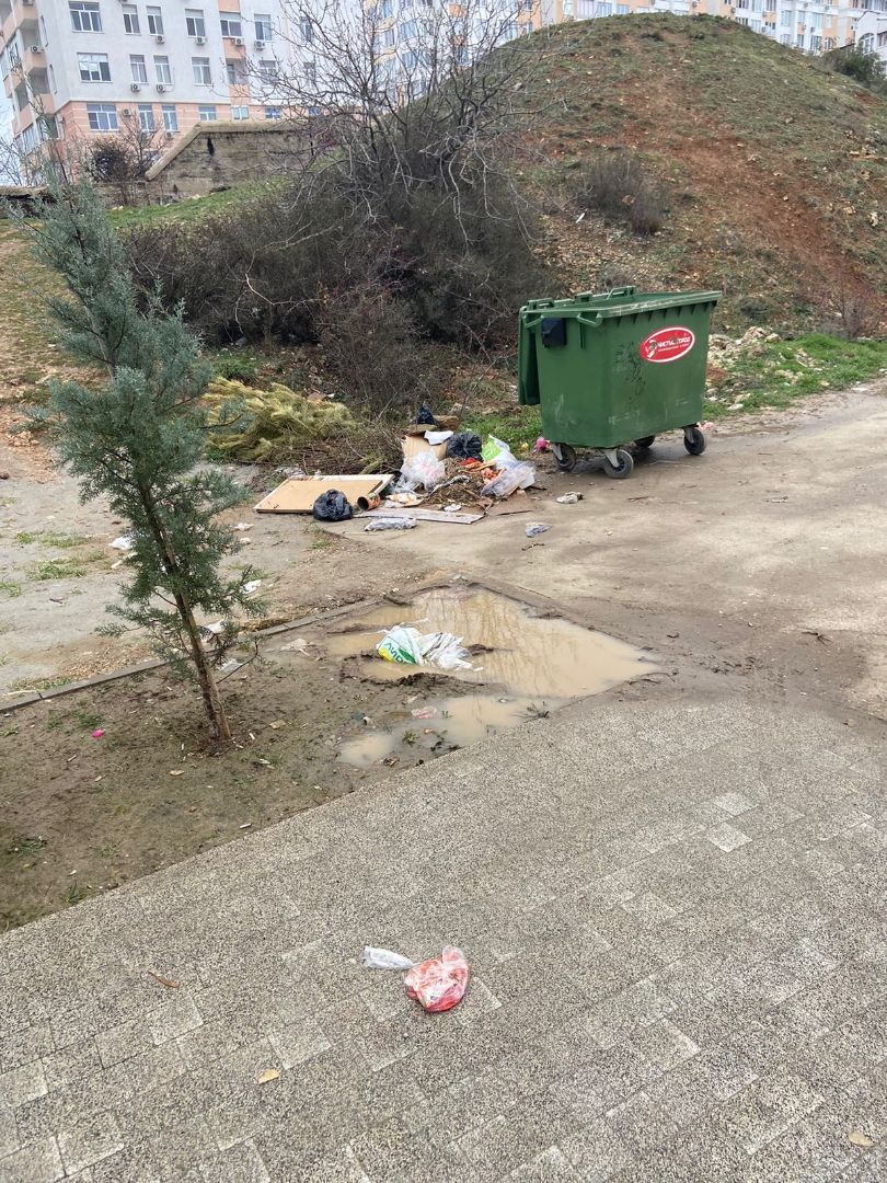 севастополь парковая мусор крысы контейнер