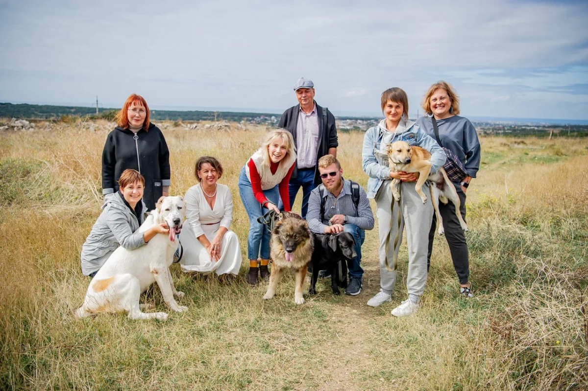 собаки бездомный помошь волонтёры зоозащитник приют