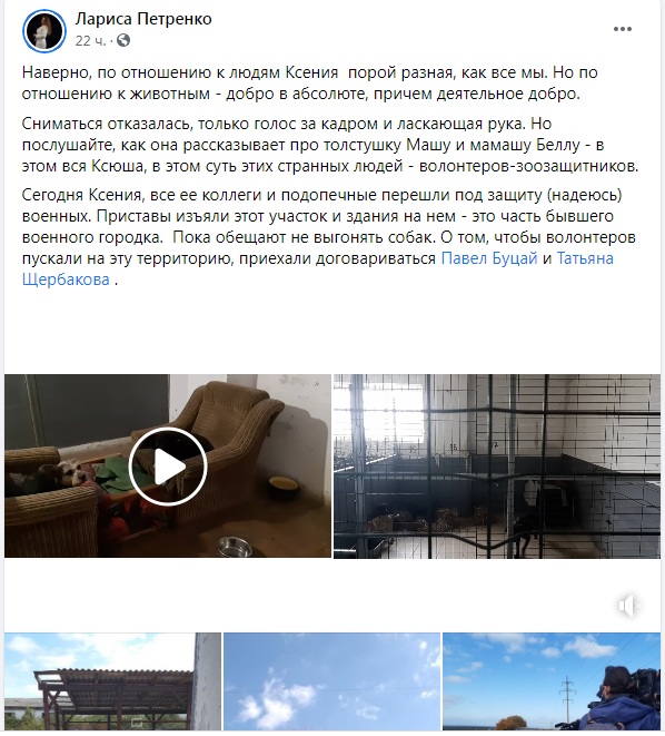 севсети новости соцсети форпост севастополь посты сообщения город общество
