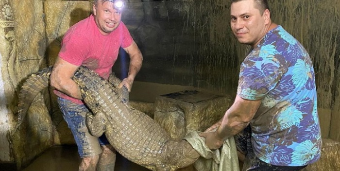 крым ялта крокодилы яйца дети потомство потоп рекорд