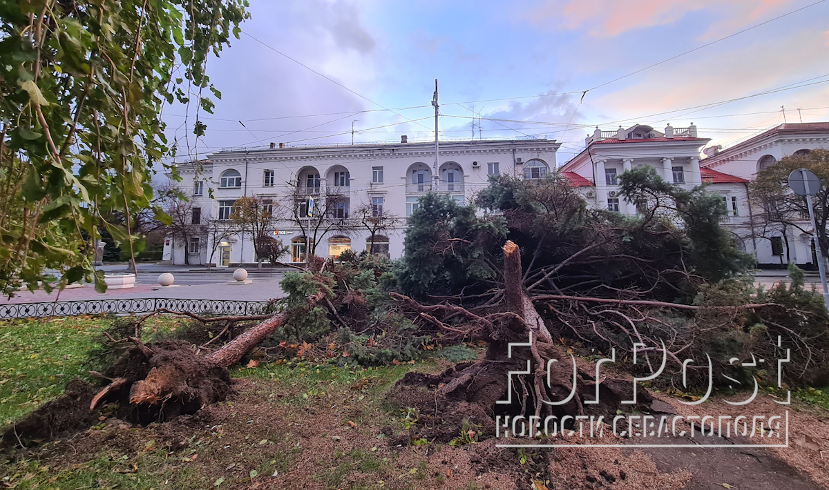 Как пострадал центр Севастополя после пика ночного шторма | ForPost