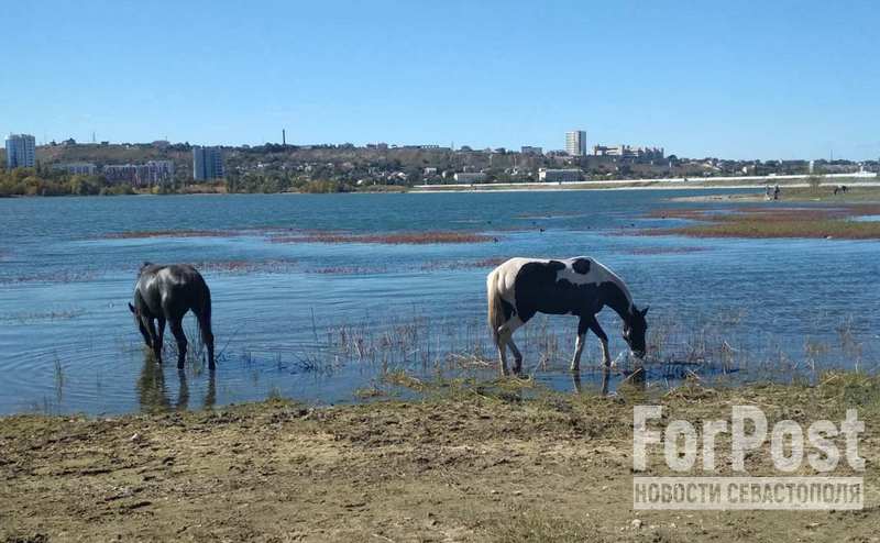 крым погода климат вода ресурсы промышленность развитие