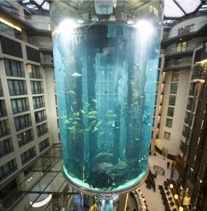 «Дико жаль рыб». В Берлине лопнул самый большой в мире цилиндрический аквариум