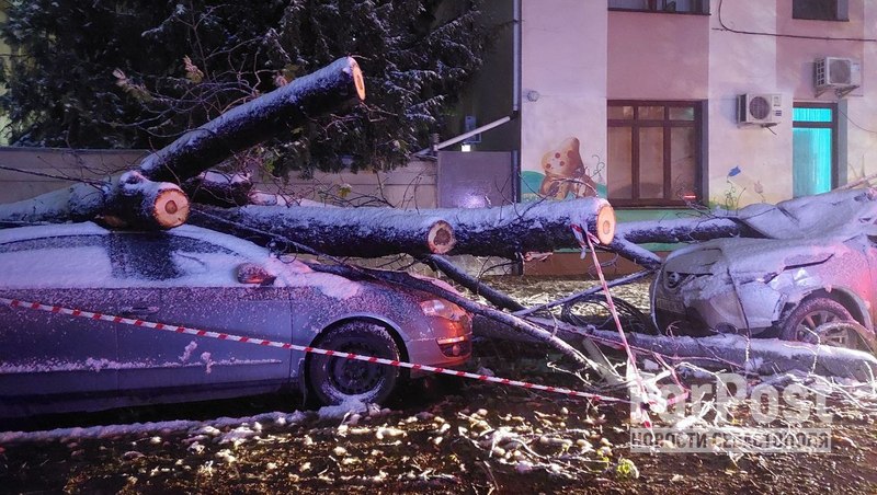 крым пострадавшие автомобили дерево ЧС ущерб последствия шторма